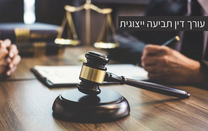 עורך דין תביעה ייצוגית - תביעות ייצוגיות